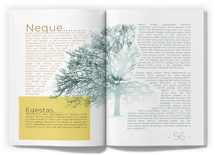 budgets-friendly-ebook